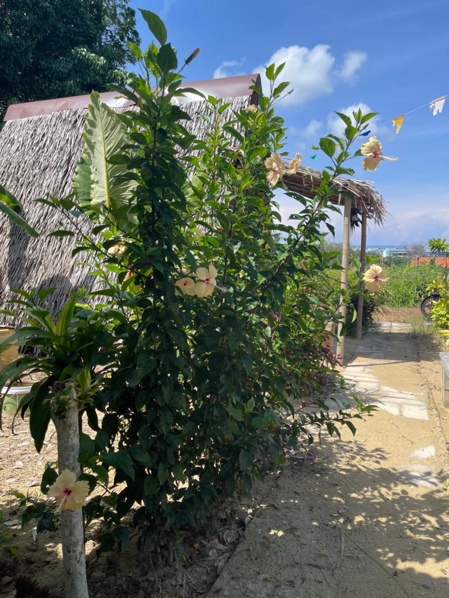 Hotel Phuketairportcamping Ban Bo Sai Klang Exteriér fotografie