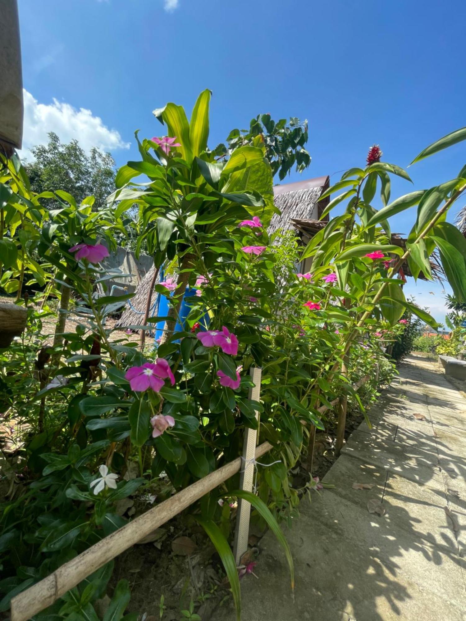 Hotel Phuketairportcamping Ban Bo Sai Klang Exteriér fotografie